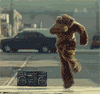 th_dancing_bear.gif